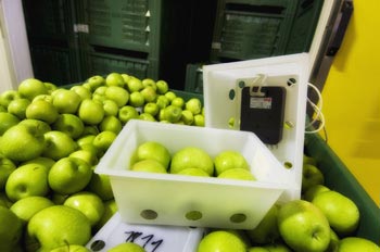Conservation de pommes en atmosphère contrôlée dynamique